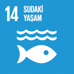 SDG 14: AMAÇ 14: SUDAKİ YAŞAM