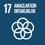 SDG 17: AMAÇ 17: AMAÇLAR İÇİN ORTAKLIKLAR